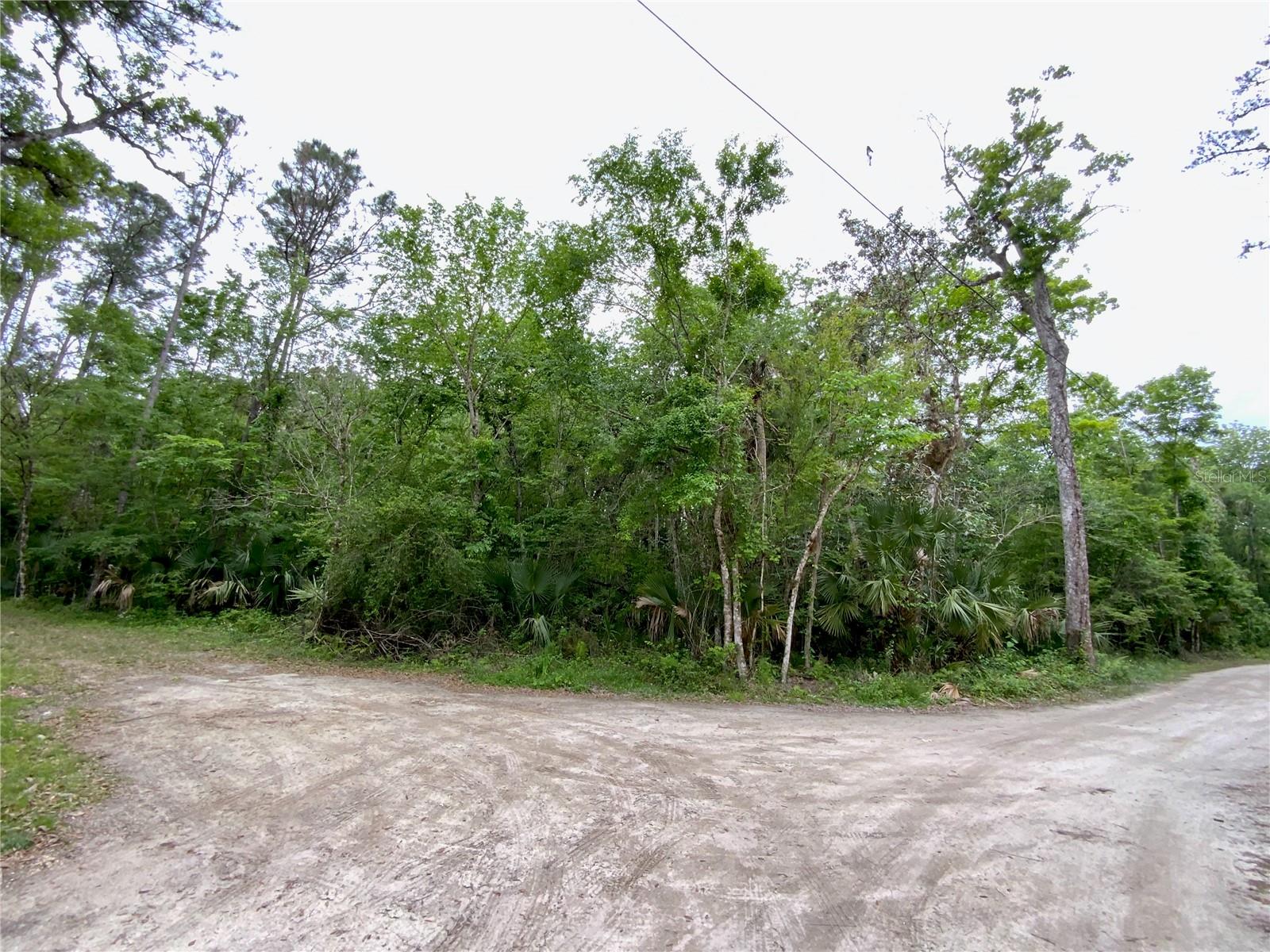 0 PATRICIA TRL, KISSIMMEE, FL, 34747