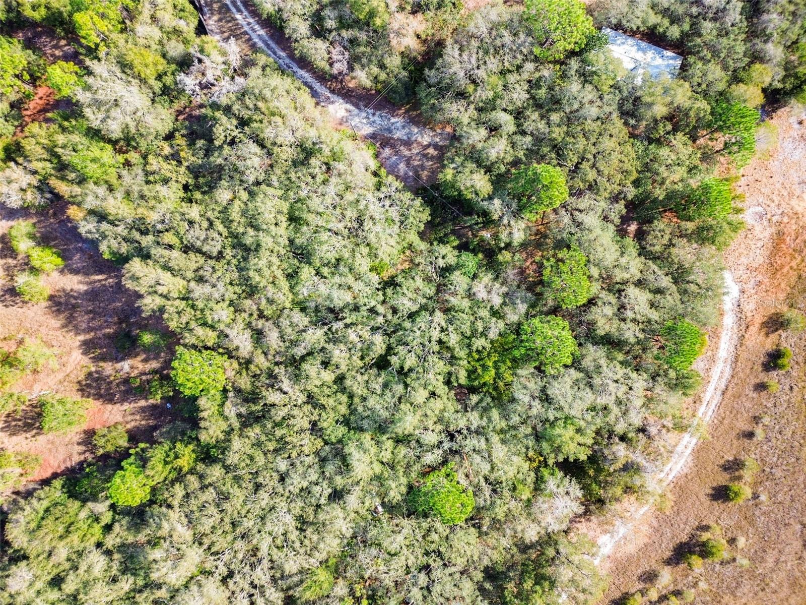 COMMERCIAL WAY, WEEKI WACHEE, FL, 34613