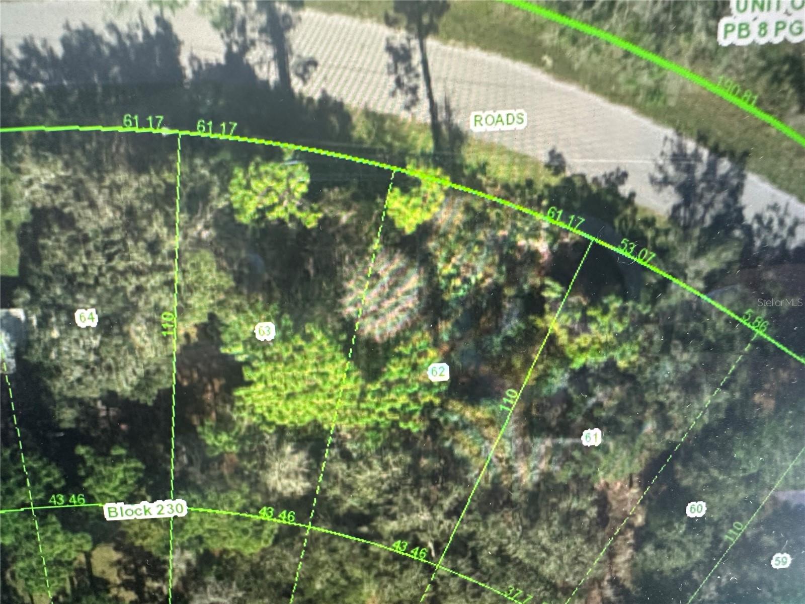 ESTELLE, NEW PORT RICHEY, FL, 34654