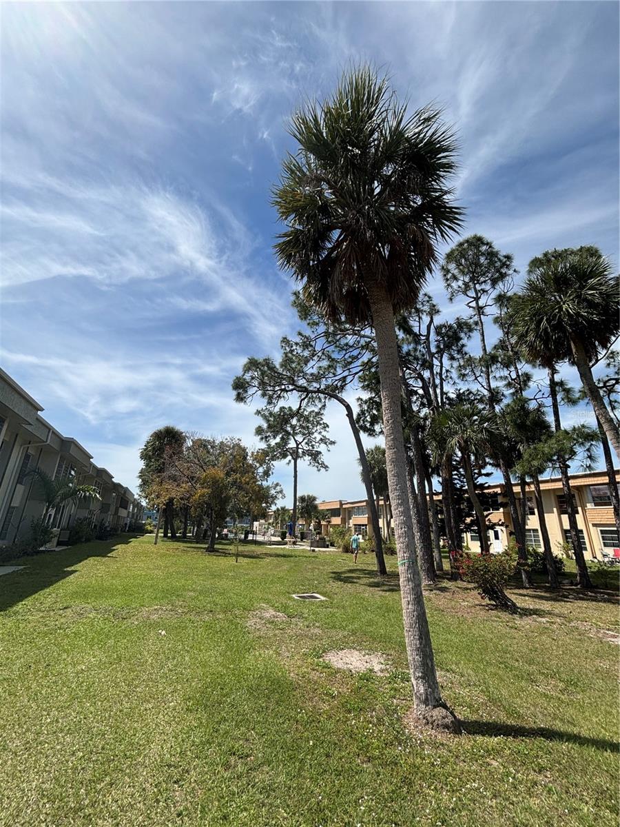 2437 HARBOR BLVD #215, PORT CHARLOTTE, FL, 33952