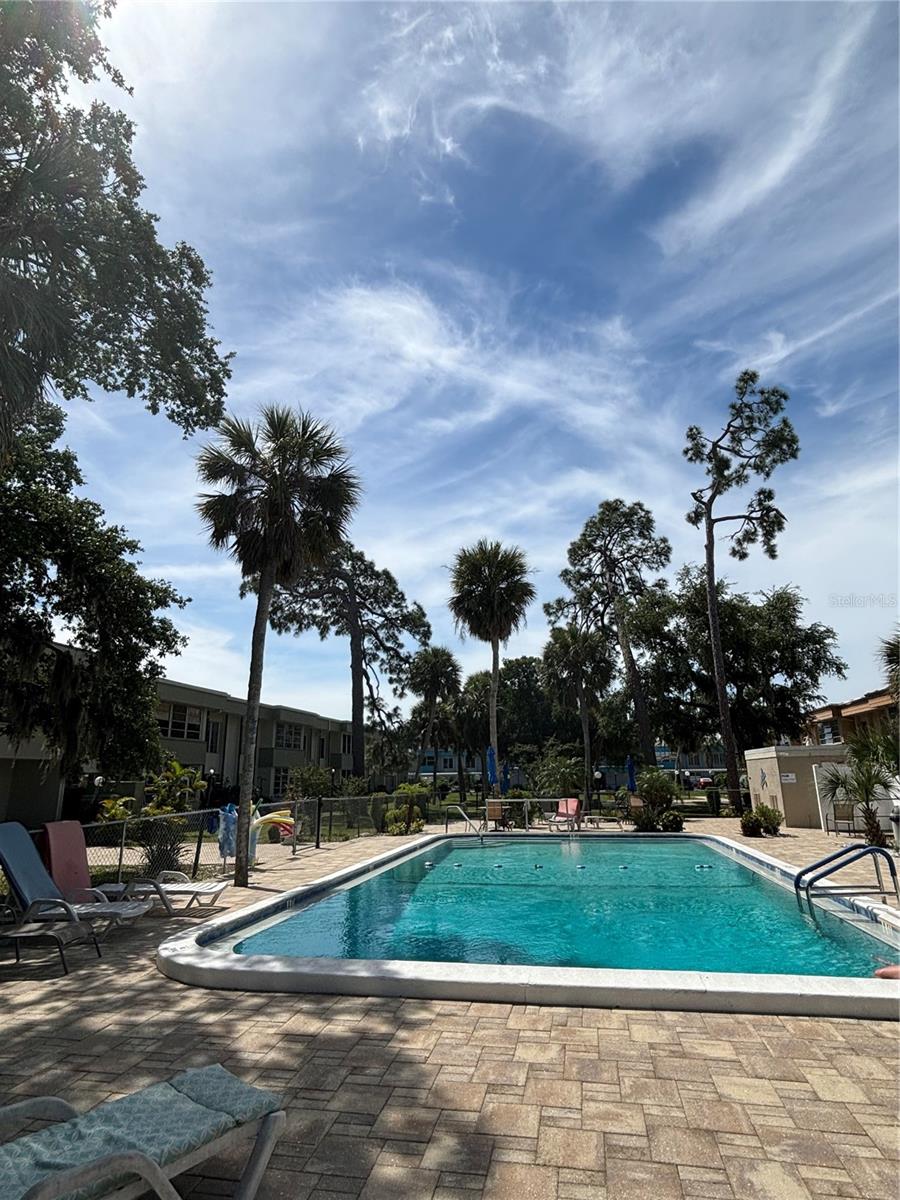 2437 HARBOR BLVD #215, PORT CHARLOTTE, FL, 33952