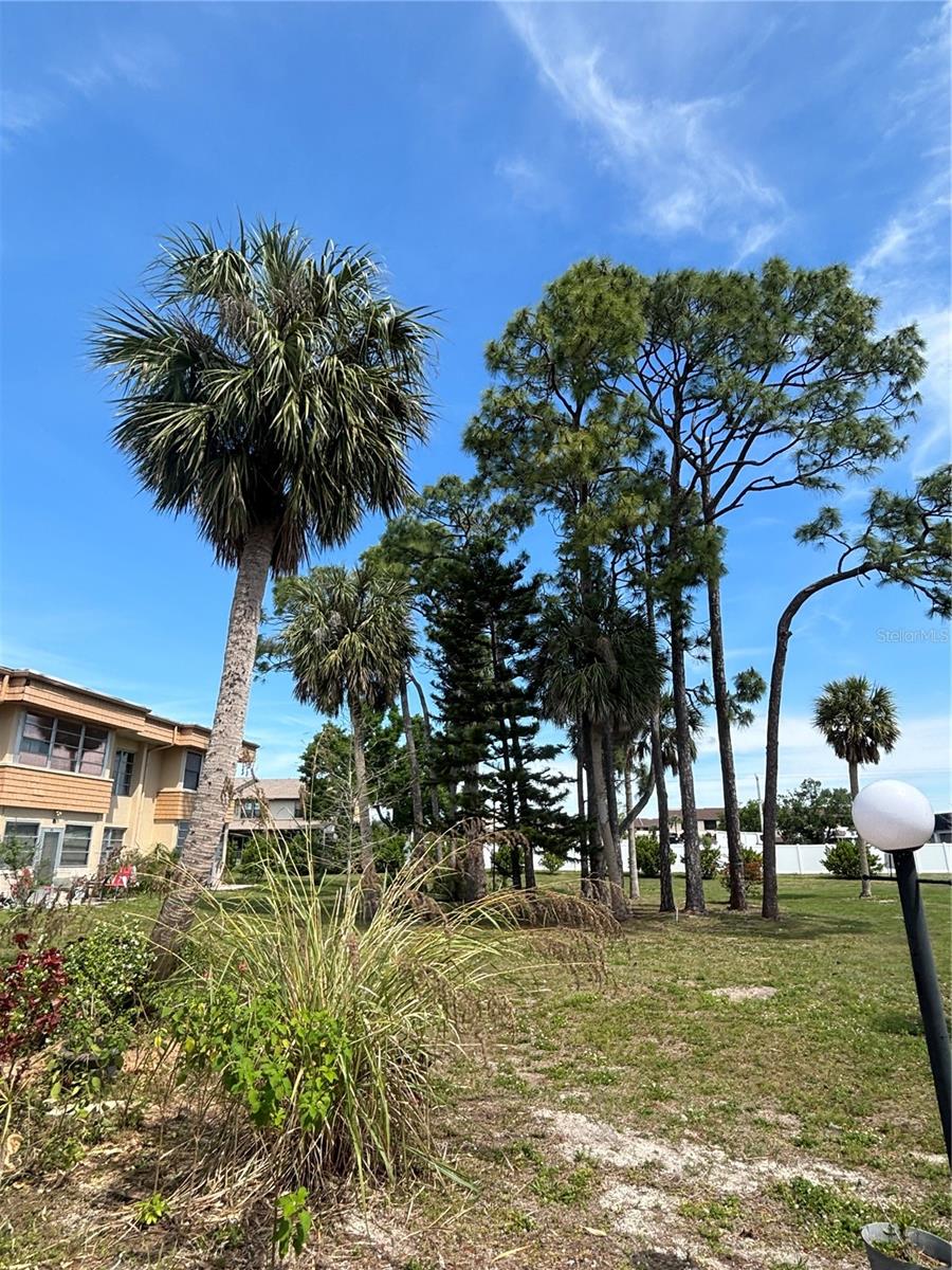 2437 HARBOR BLVD #215, PORT CHARLOTTE, FL, 33952