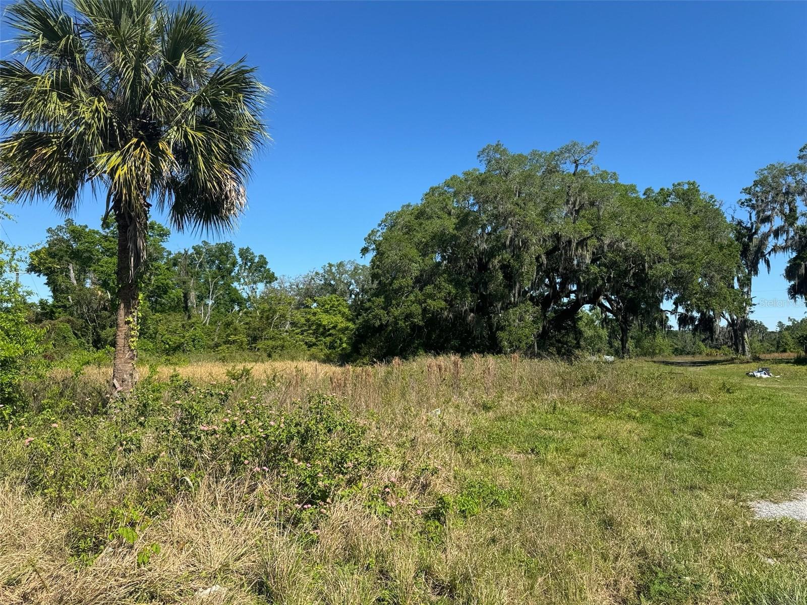 0 E STATE ROAD 60, PLANT CITY, FL, 33567