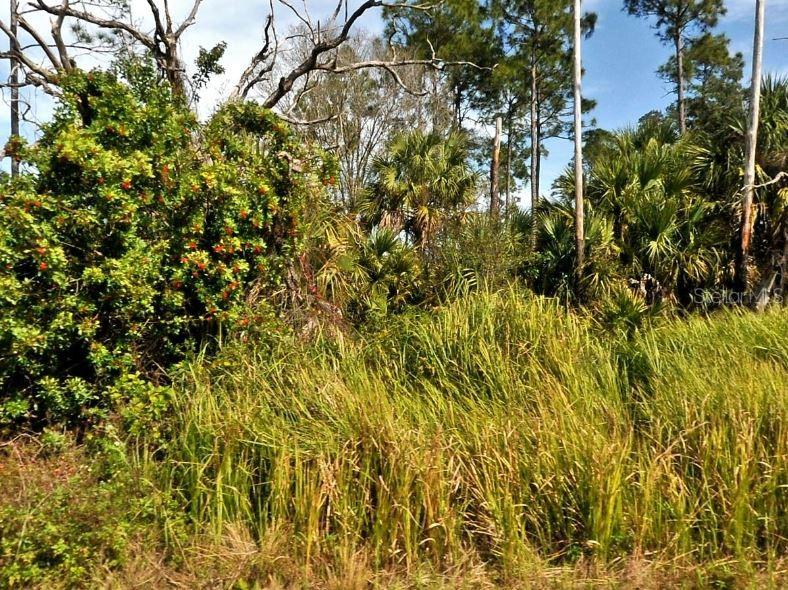 FIREBIRD RD, NORTH PORT, FL, 34288