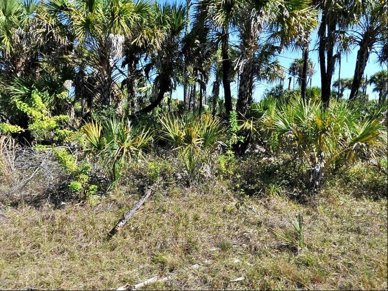 HIAWATHA TER, NORTH PORT, FL, 34288