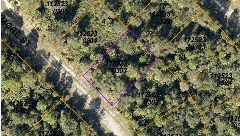 DUNMORE ST, NORTH PORT, FL, 34288