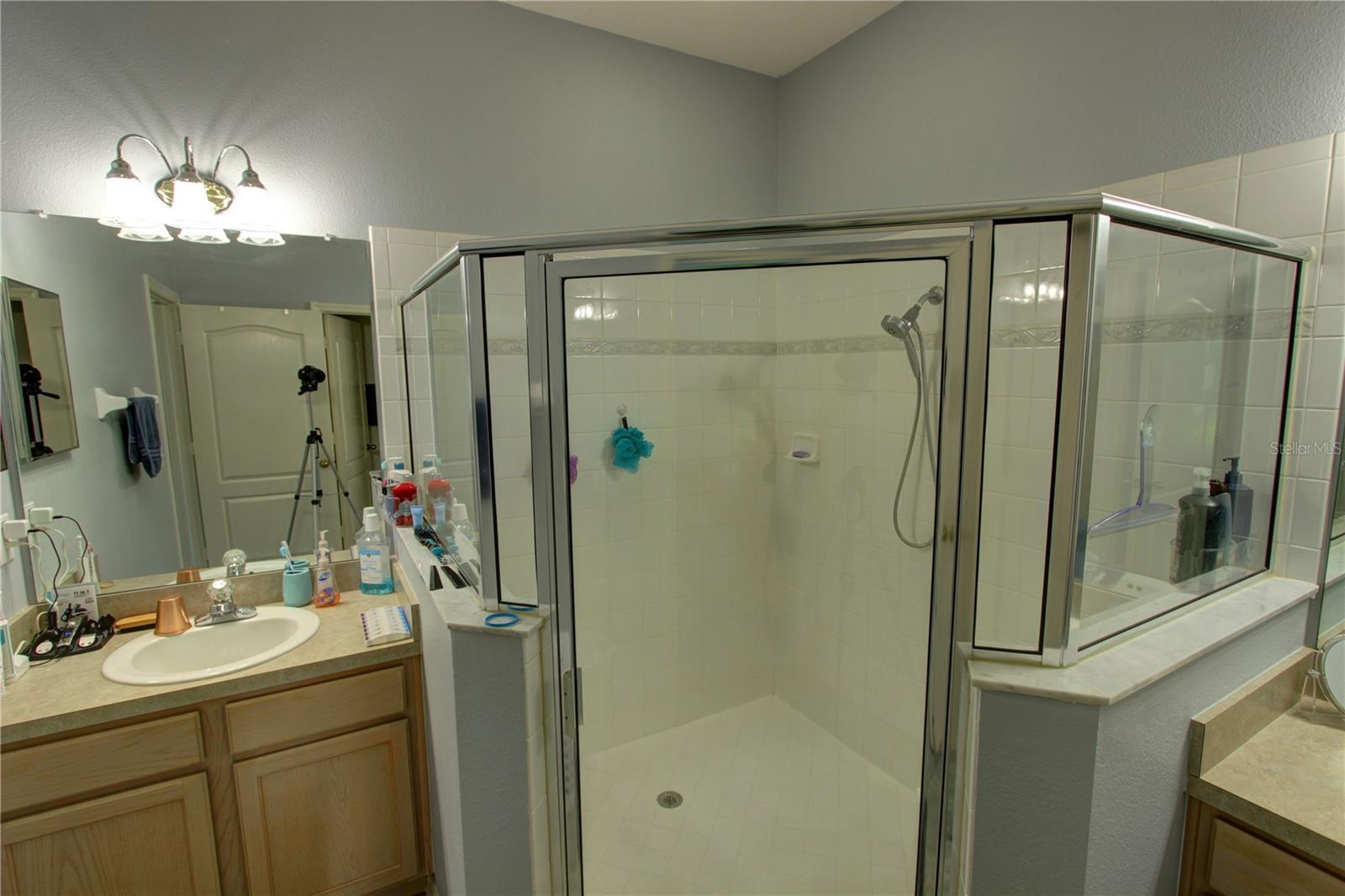 2822 TORRANCE DR, LAND O LAKES, FL, 34638