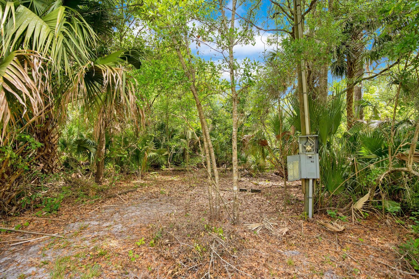 1550 FREER LN, SANFORD, FL, 32771