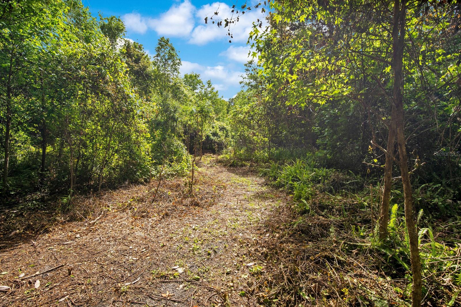 1550 FREER LN, SANFORD, FL, 32771