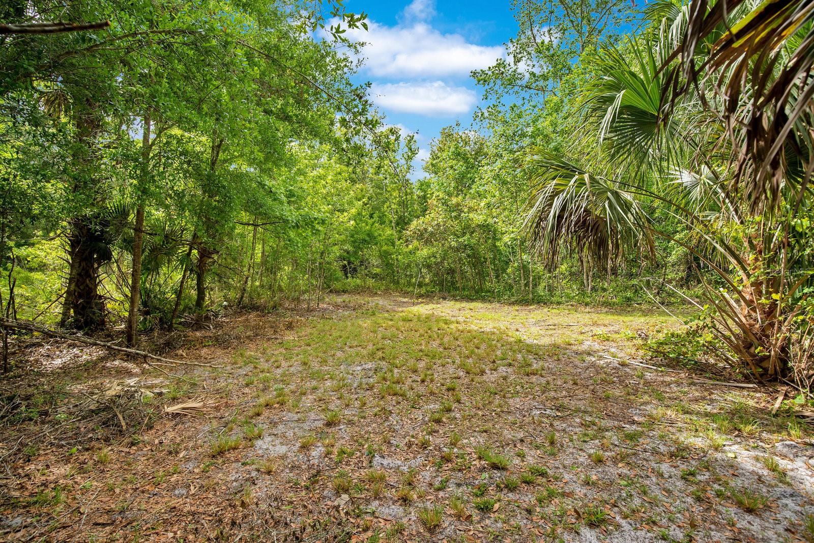 1550 FREER LN, SANFORD, FL, 32771