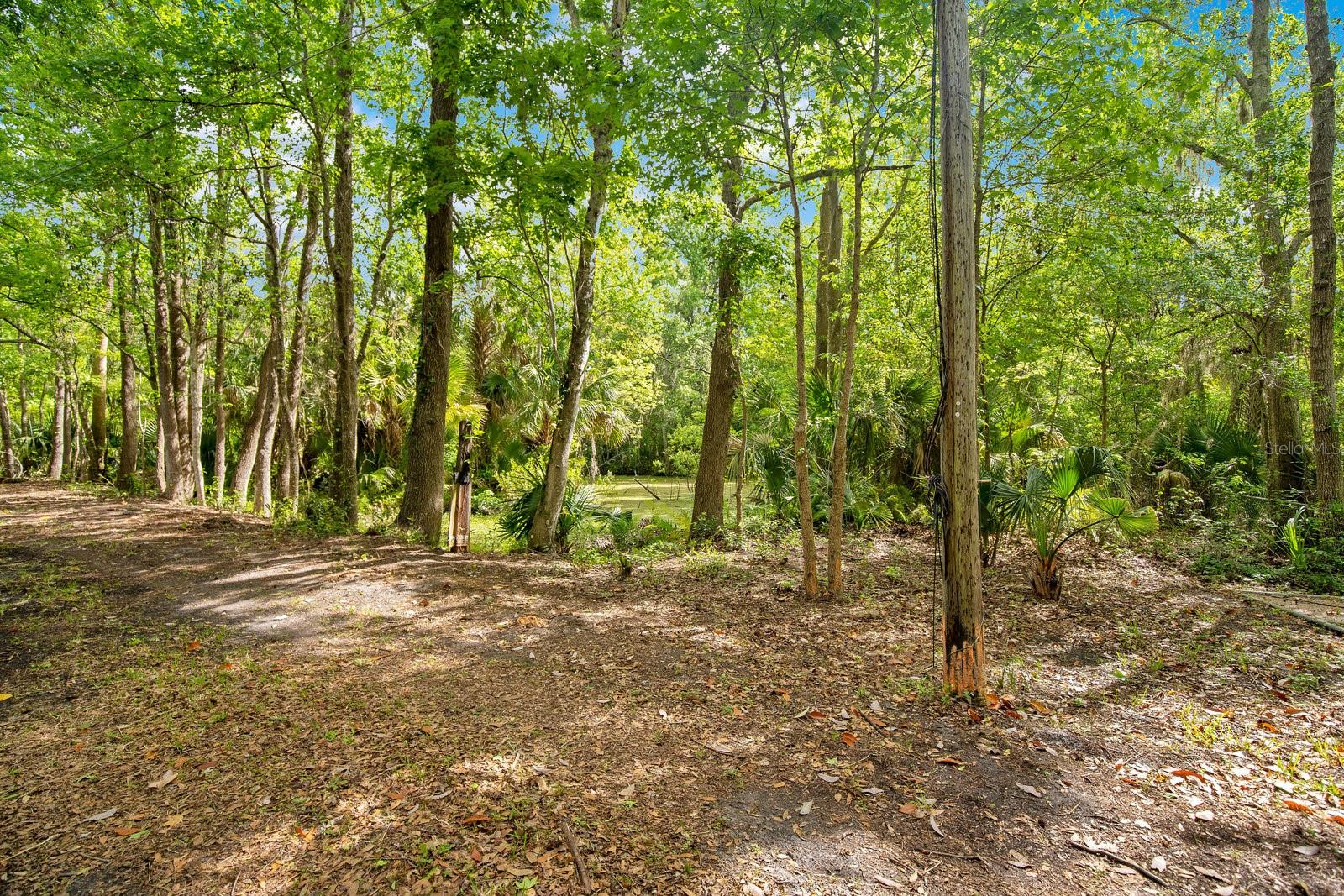 1550 FREER LN, SANFORD, FL, 32771