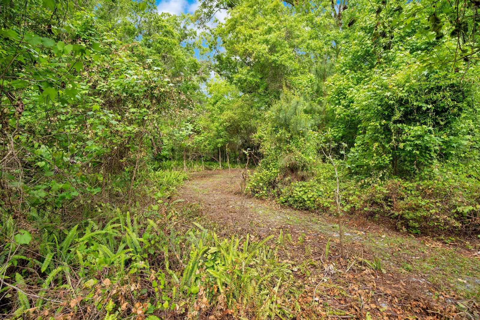 1550 FREER LN, SANFORD, FL, 32771