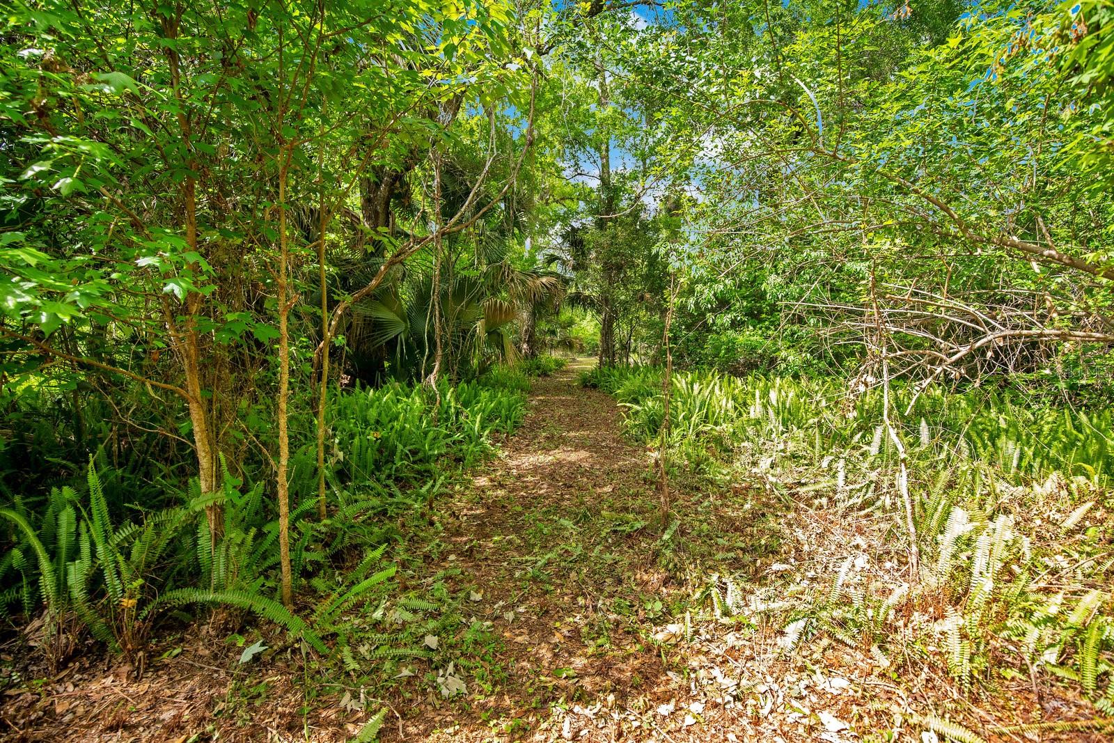 1550 FREER LN, SANFORD, FL, 32771