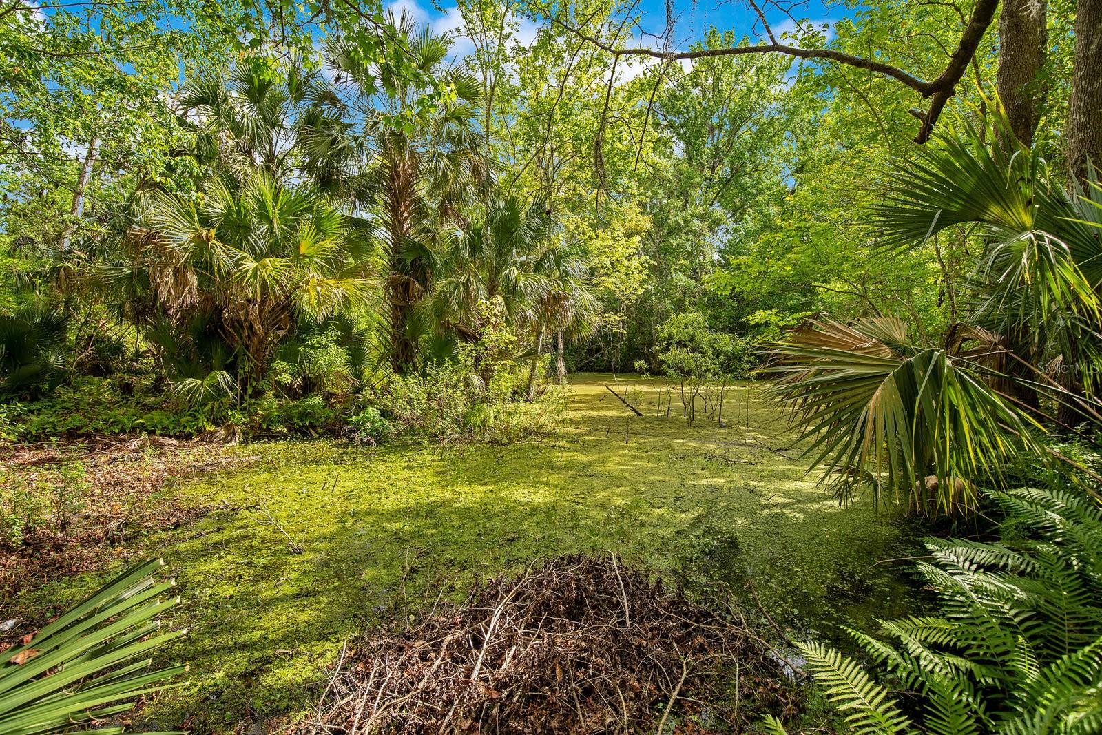 1550 FREER LN, SANFORD, FL, 32771