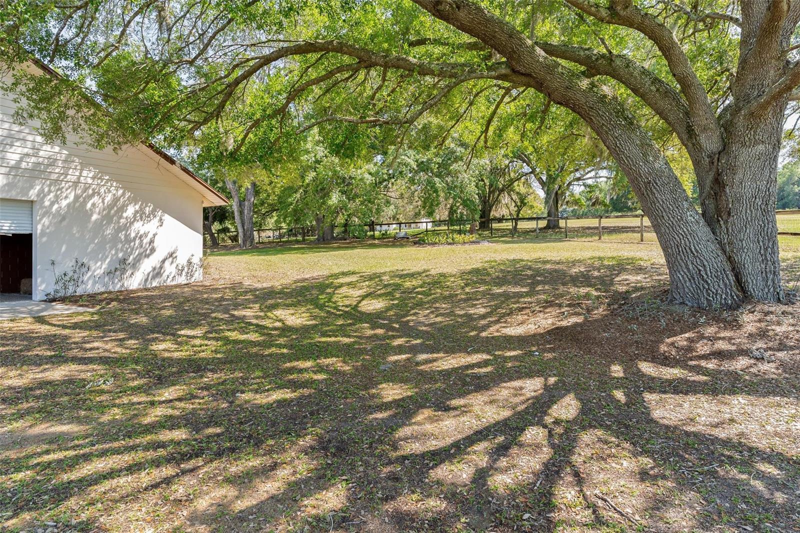 23096 SE HWY 42, UMATILLA, FL, 32784