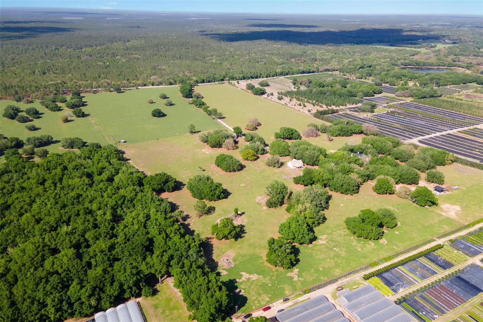 23096 SE HWY 42, UMATILLA, FL, 32784