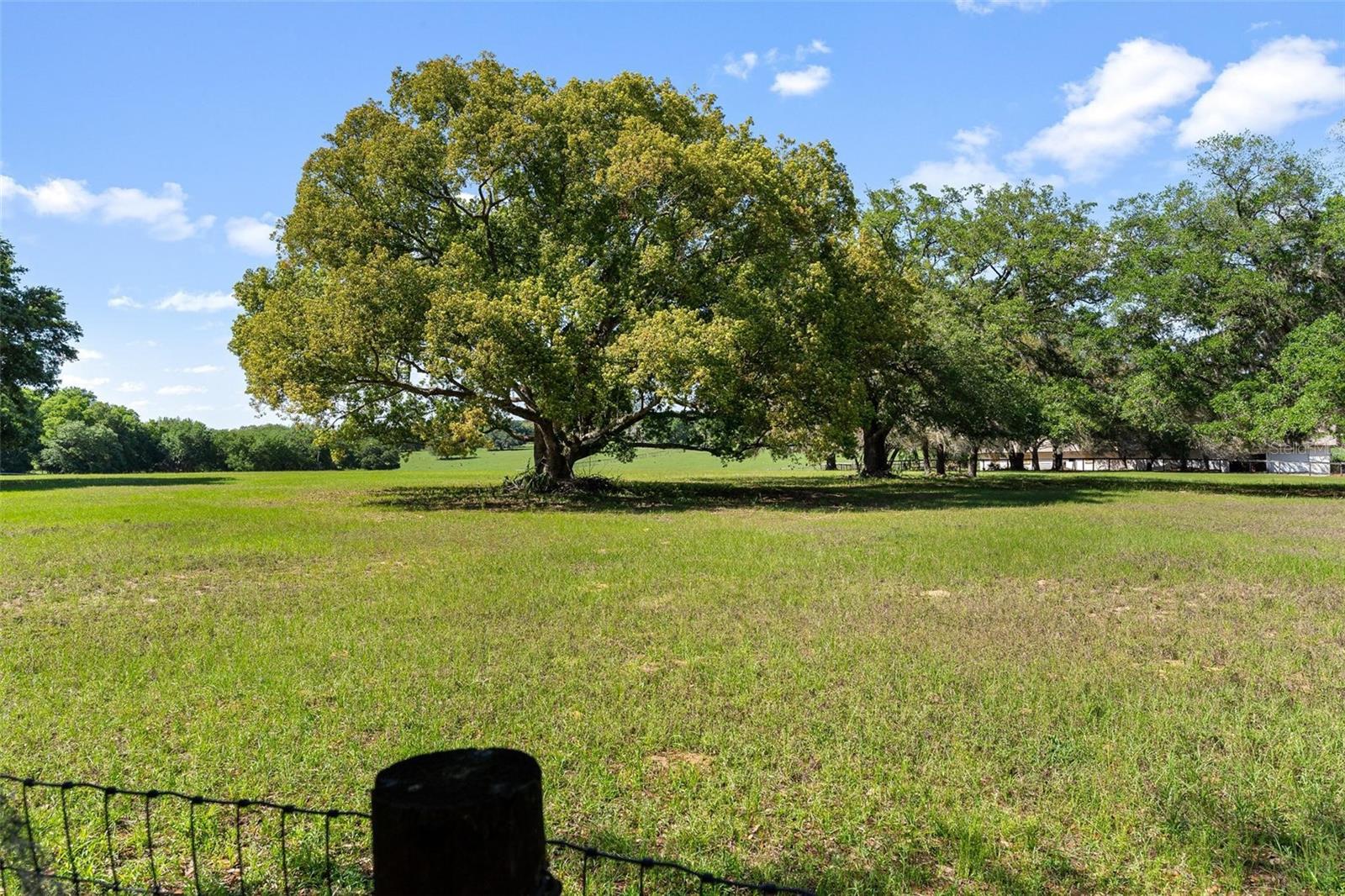 23096 SE HWY 42, UMATILLA, FL, 32784