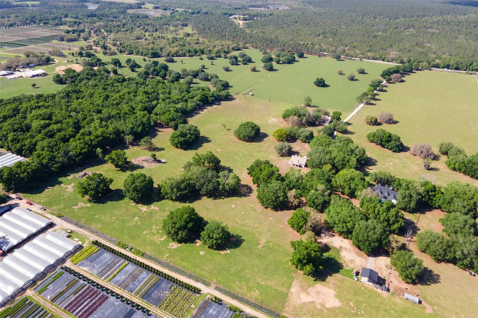 23096 SE HWY 42, UMATILLA, FL, 32784