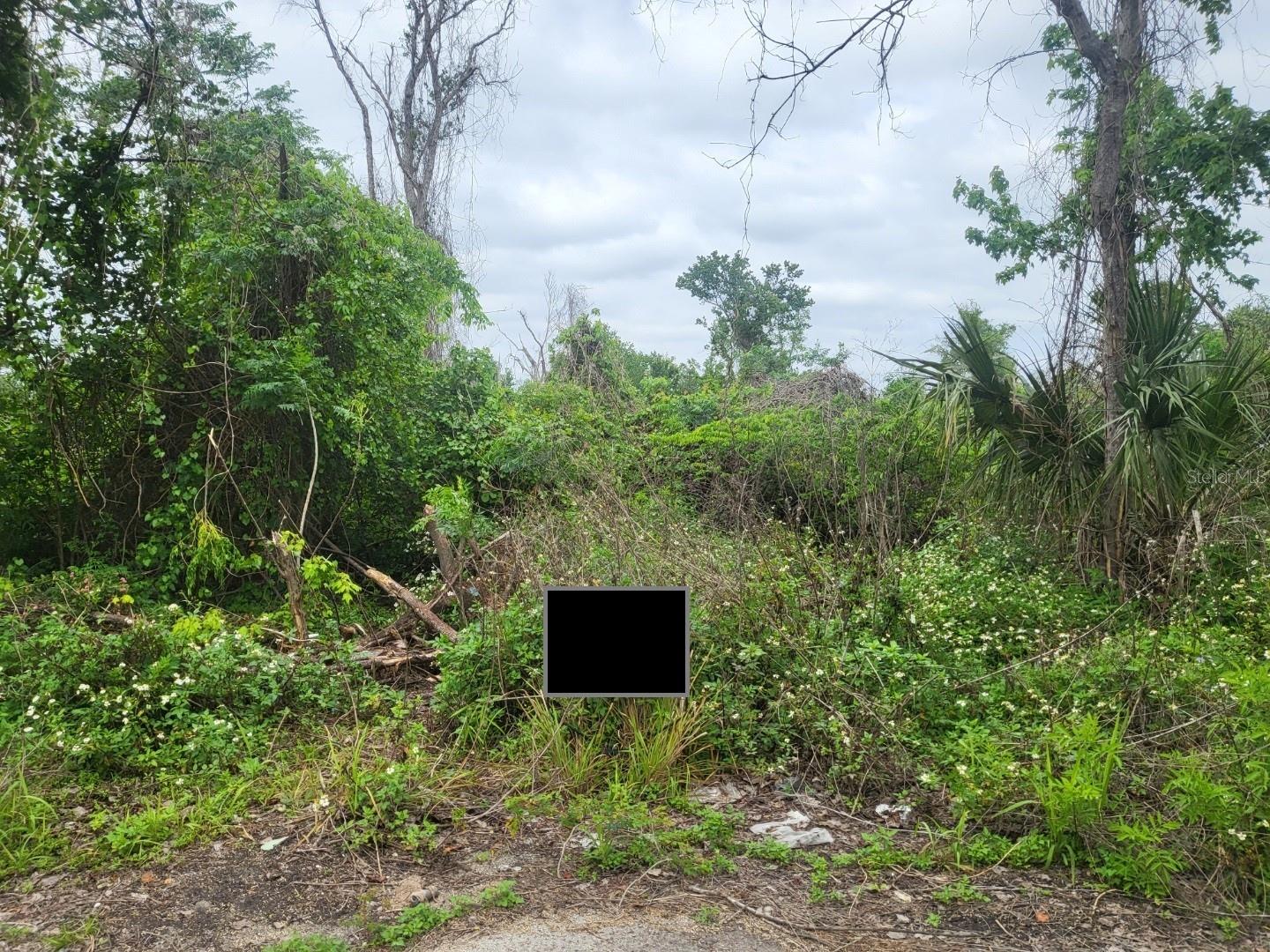 HICKORY TRACK DRIVE, OCALA, FL, 34472