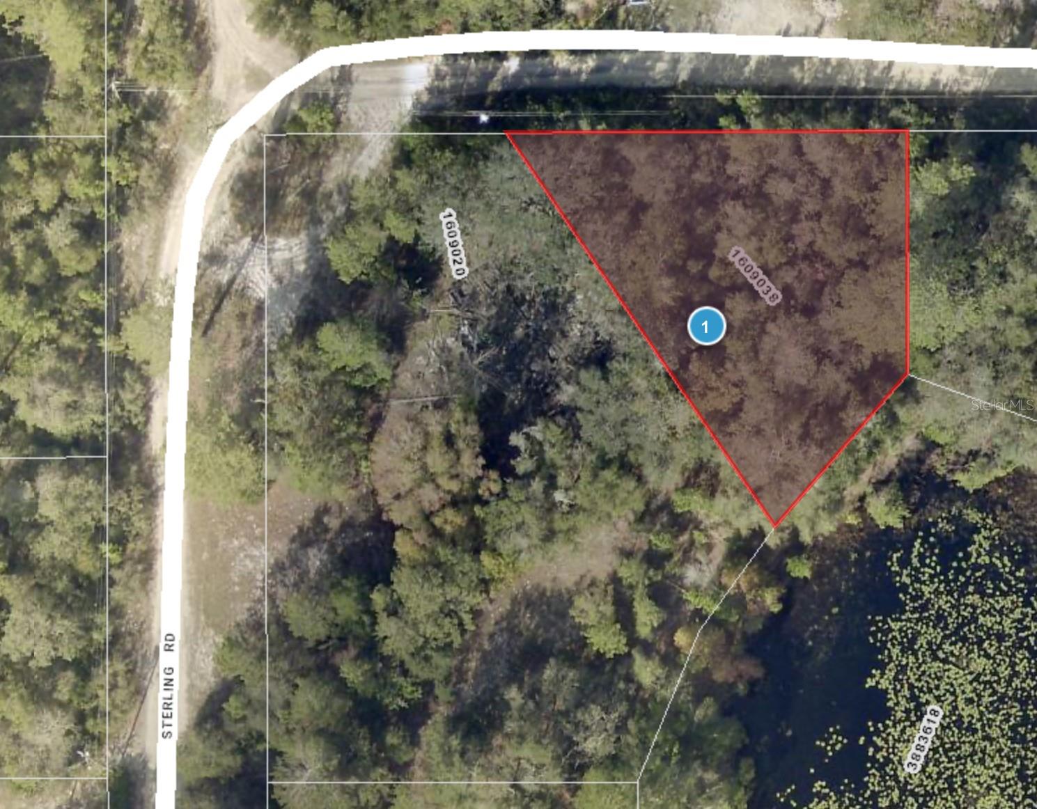 43928 STERLING RD, PAISLEY, FL, 32767