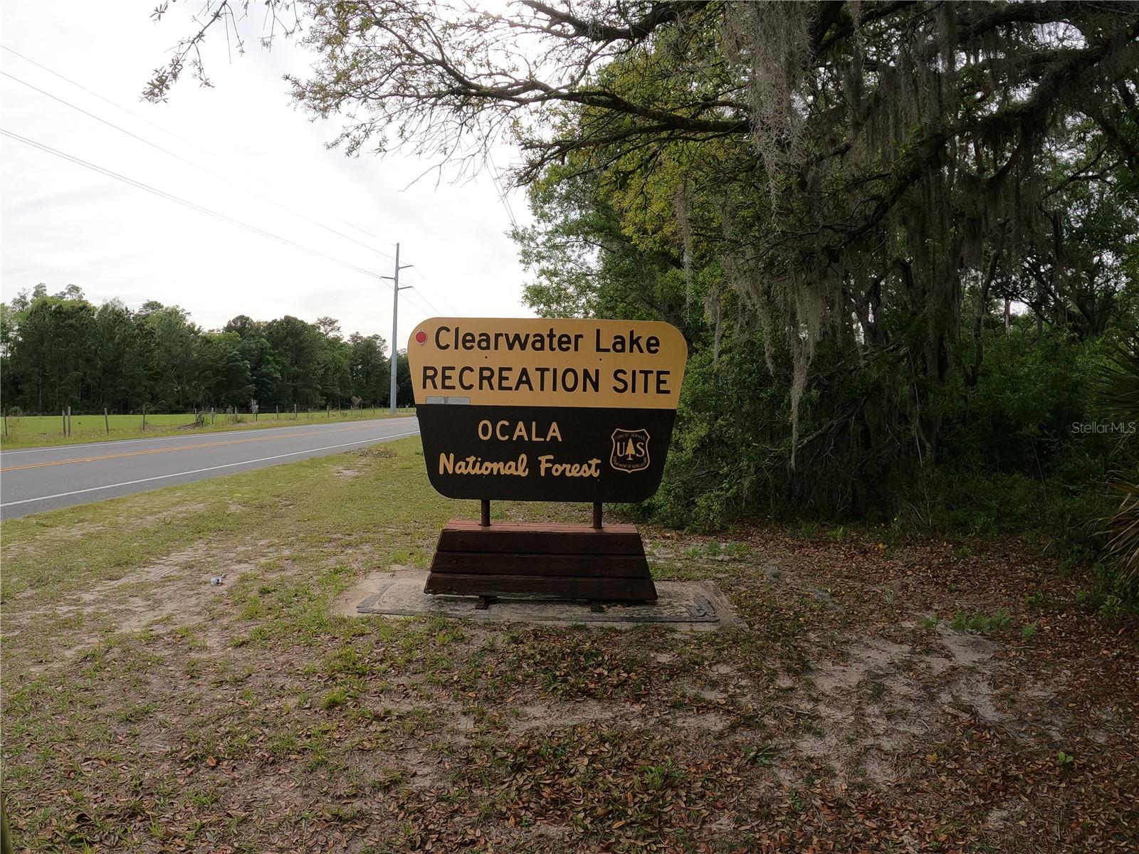 43928 STERLING RD, PAISLEY, FL, 32767
