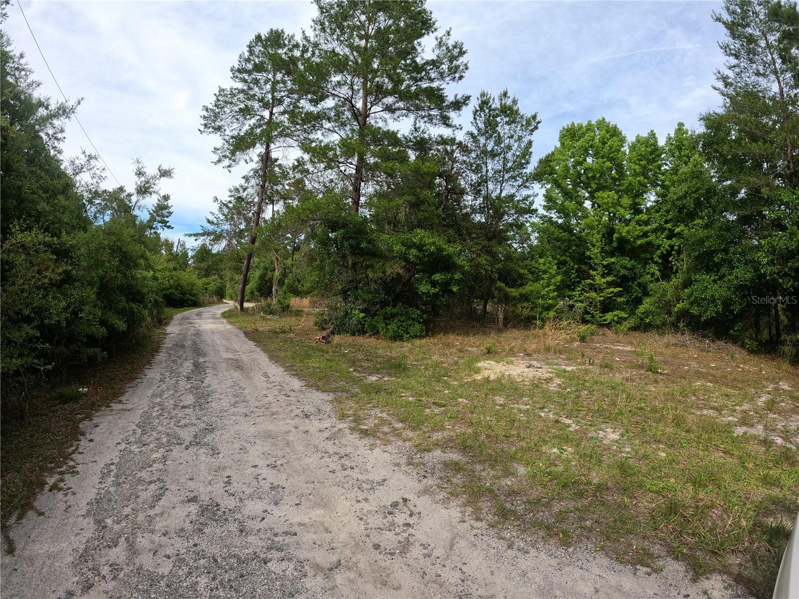 43928 STERLING RD, PAISLEY, FL, 32767