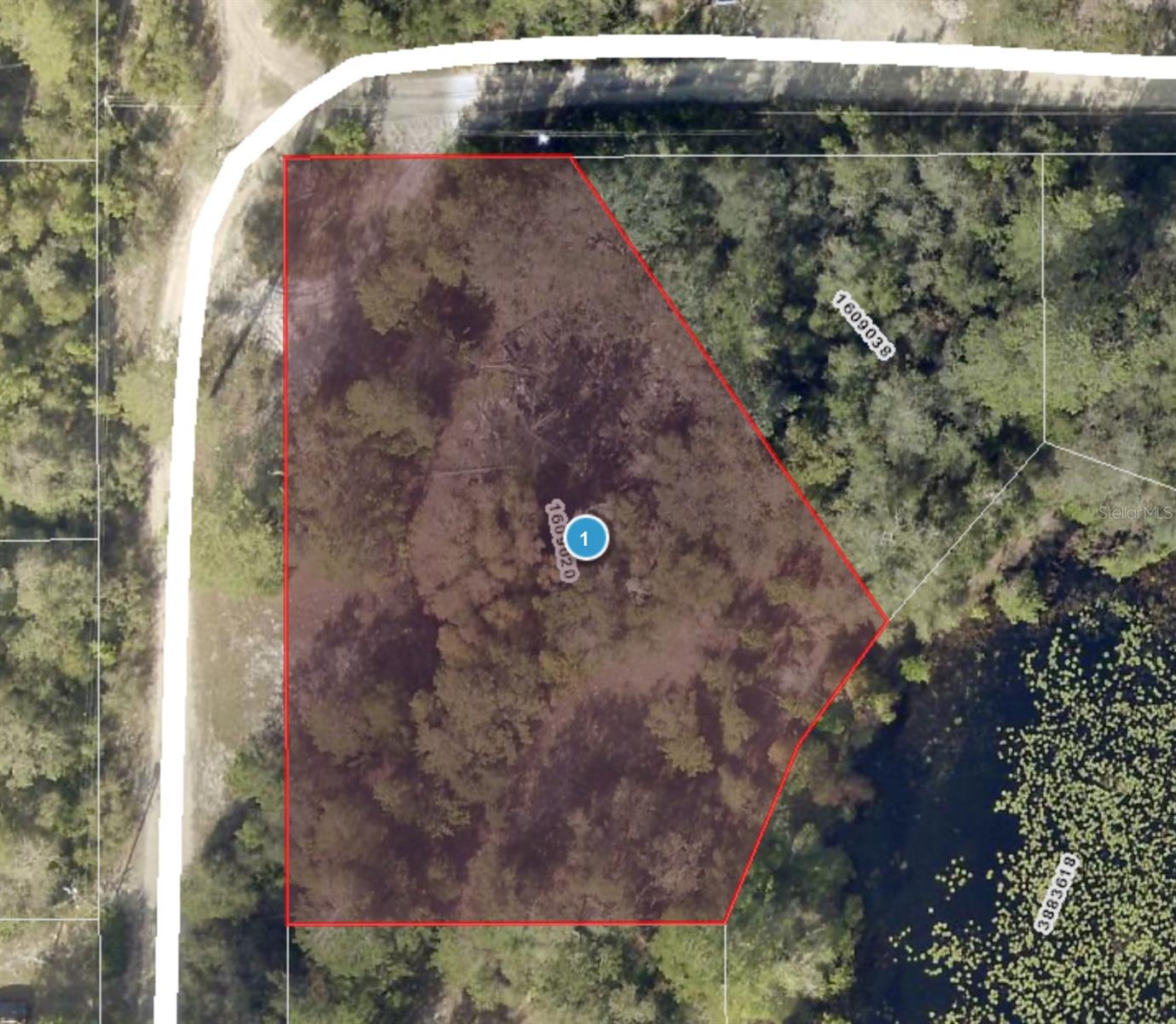43928 STERLING RD, PAISLEY, FL, 32767