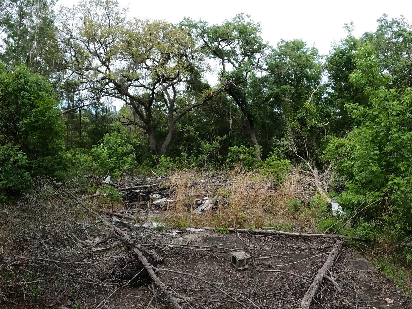 43928 STERLING RD, PAISLEY, FL, 32767