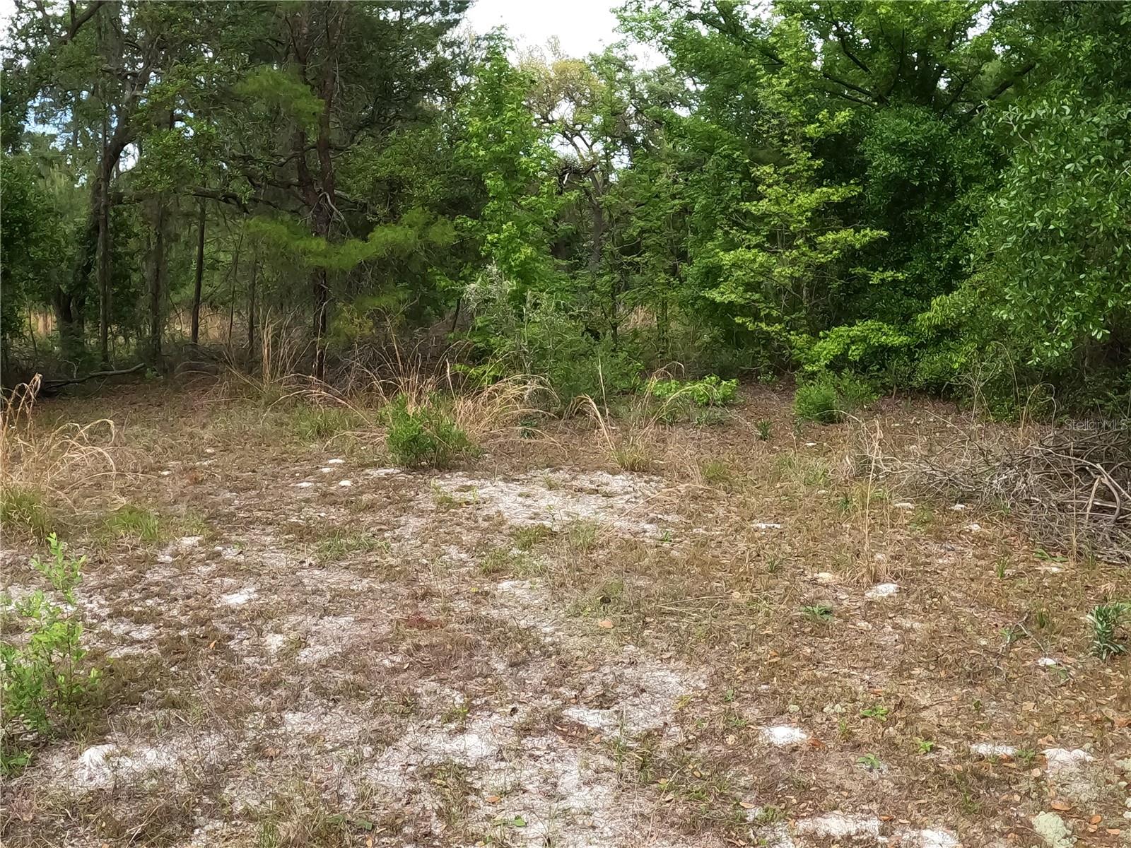 43928 STERLING RD, PAISLEY, FL, 32767