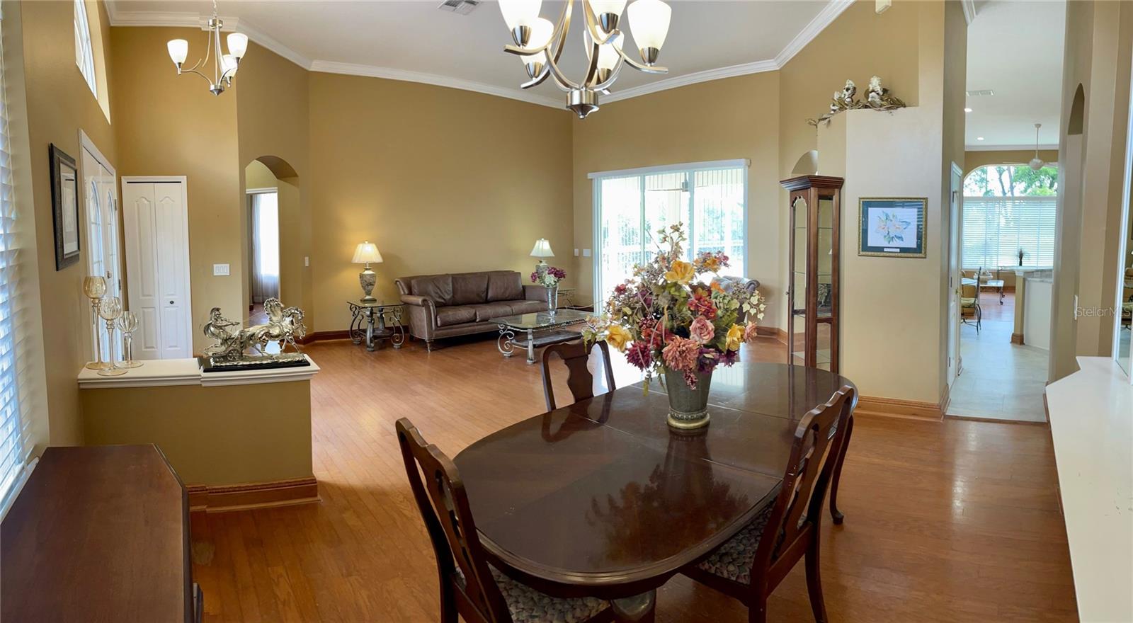 9029 LAUREL RIDGE DR, MOUNT DORA, FL, 32757
