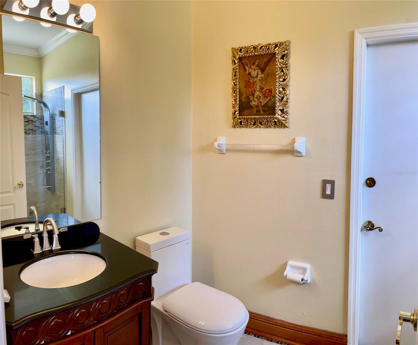 9029 LAUREL RIDGE DR, MOUNT DORA, FL, 32757