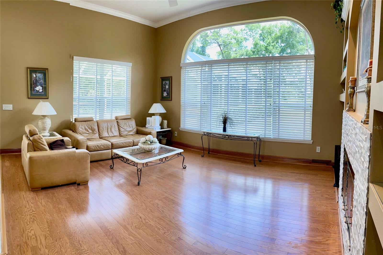 9029 LAUREL RIDGE DR, MOUNT DORA, FL, 32757