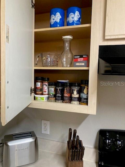 1232 S MISSOURI AVE #515, CLEARWATER, FL, 33756