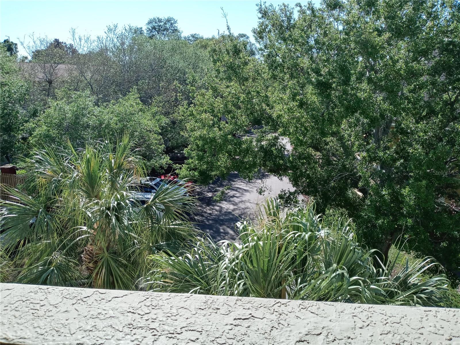 1232 S MISSOURI AVE #515, CLEARWATER, FL, 33756