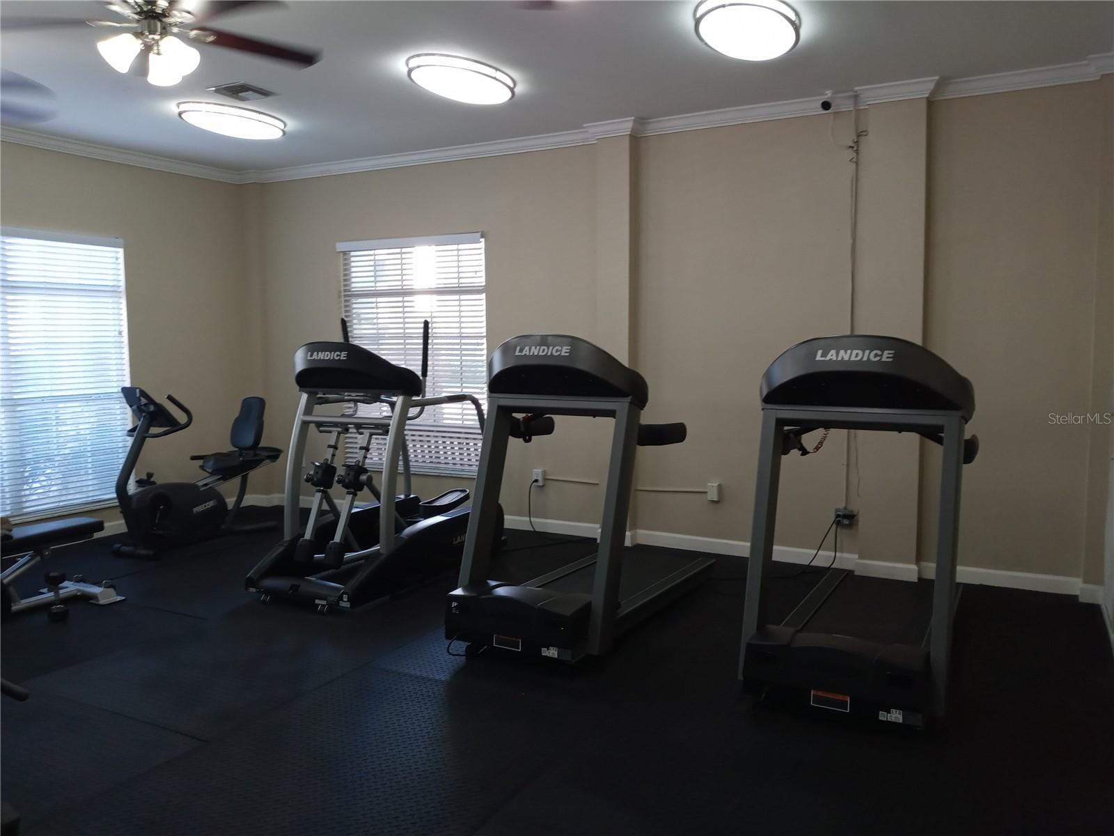 1232 S MISSOURI AVE #515, CLEARWATER, FL, 33756