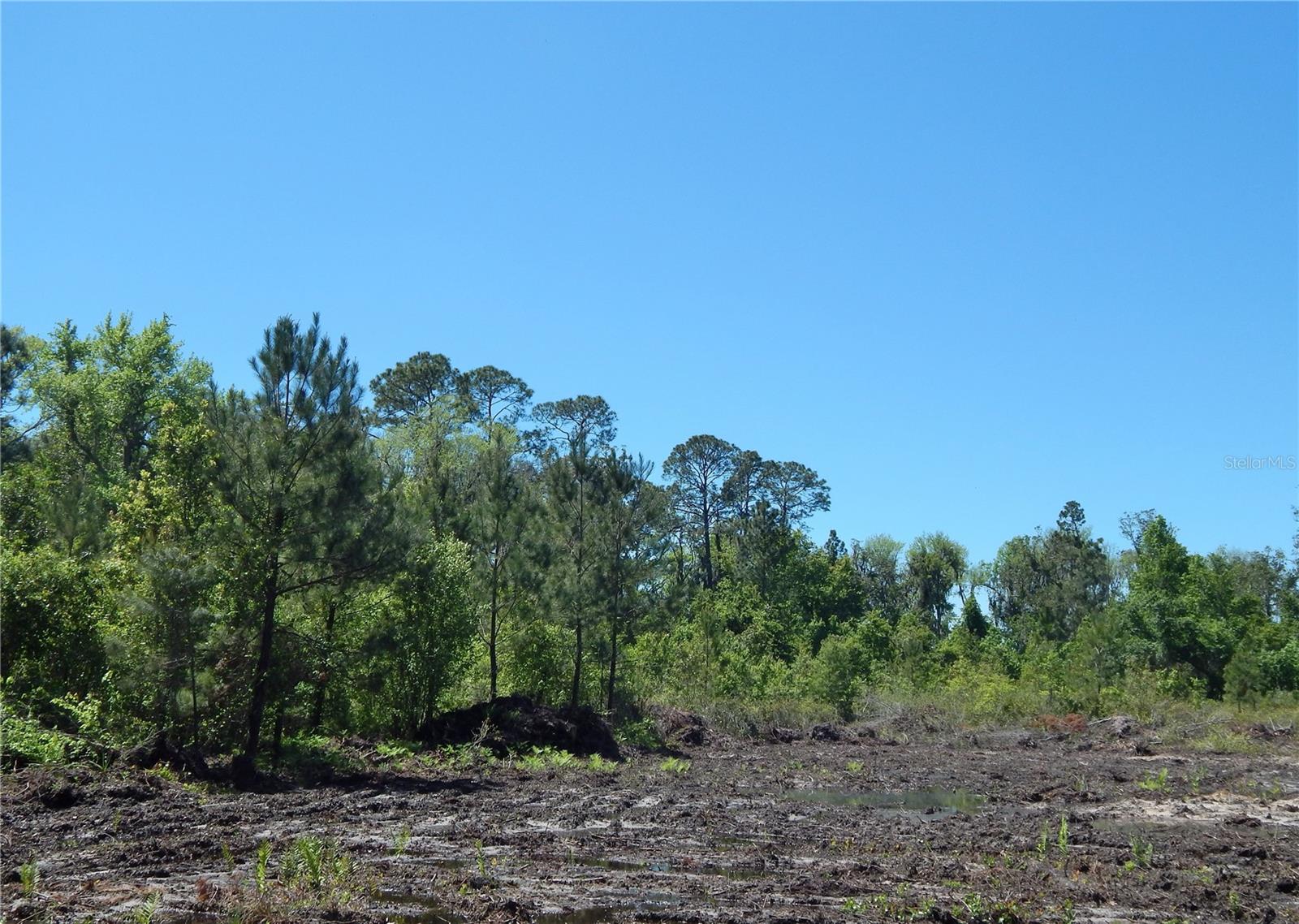 00 NW UNION PARK RD, WELLBORN, FL, 32094