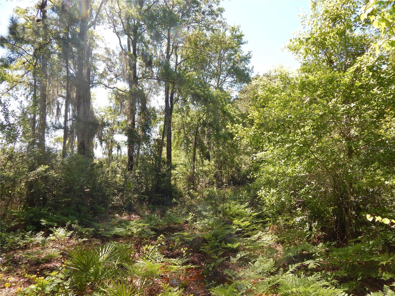 00 NW UNION PARK RD, WELLBORN, FL, 32094