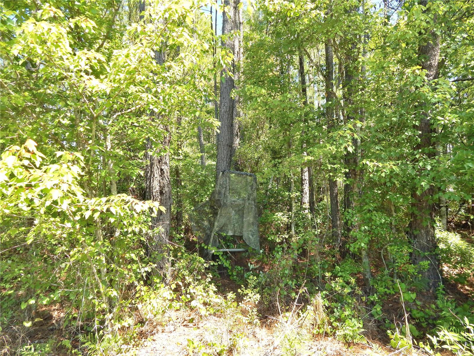 00 NW UNION PARK RD, WELLBORN, FL, 32094