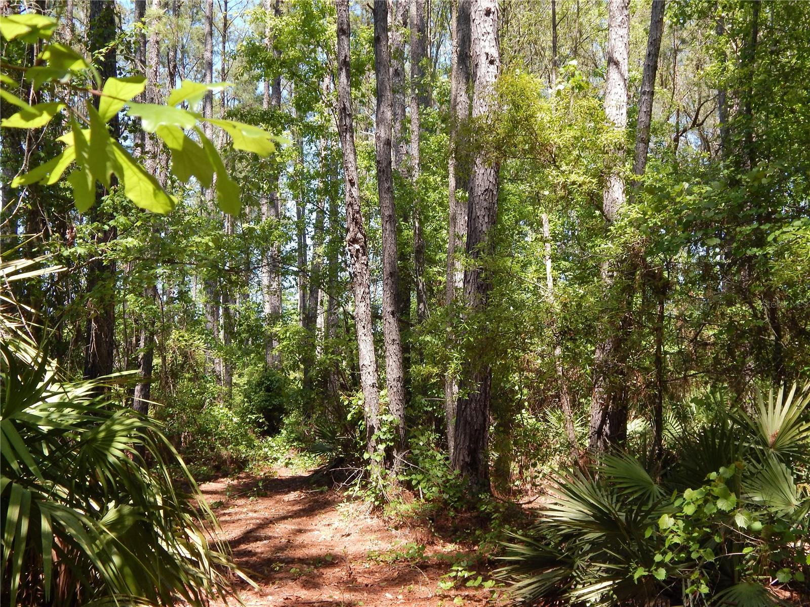 00 NW UNION PARK RD, WELLBORN, FL, 32094