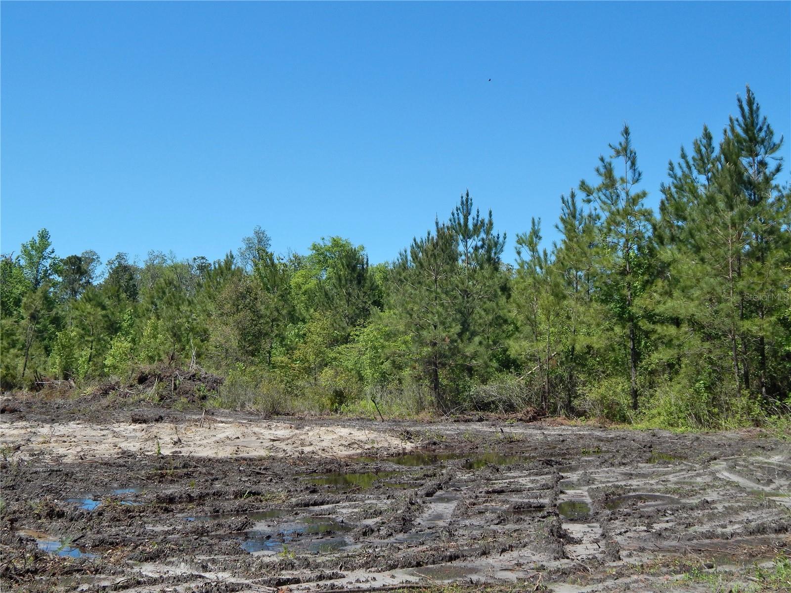 00 NW UNION PARK RD, WELLBORN, FL, 32094