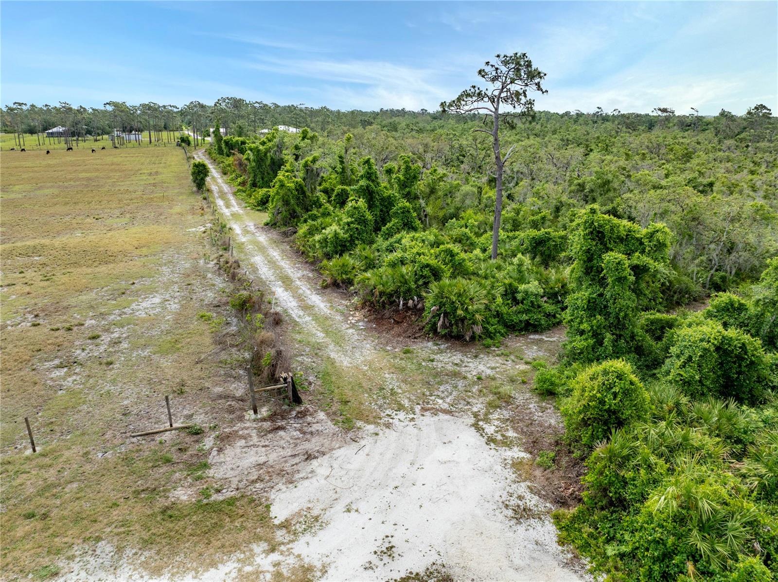 33431 SERENE DR, PUNTA GORDA, FL, 33982