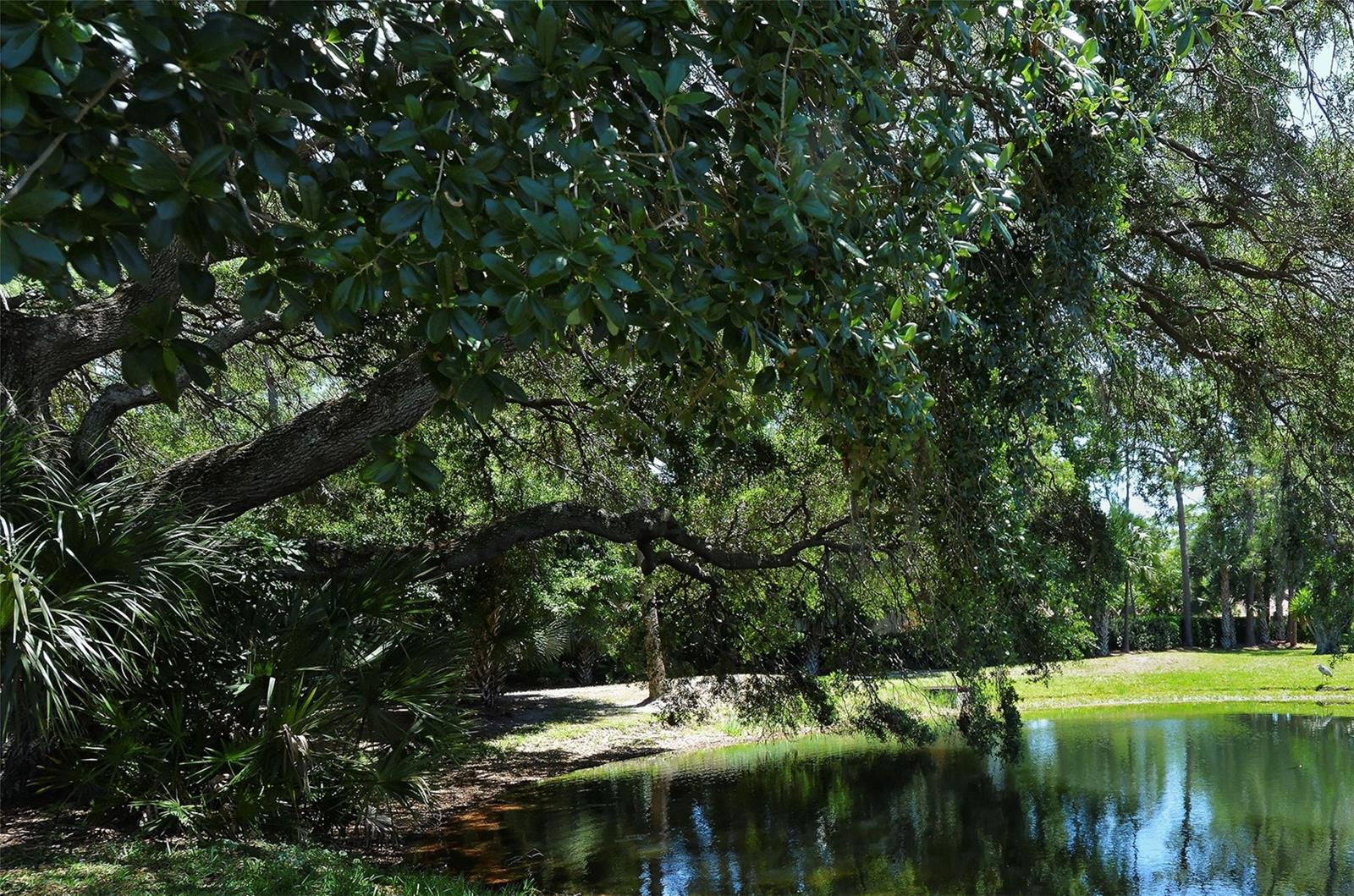 5235 WILLOW LINKS #41, SARASOTA, FL, 34235