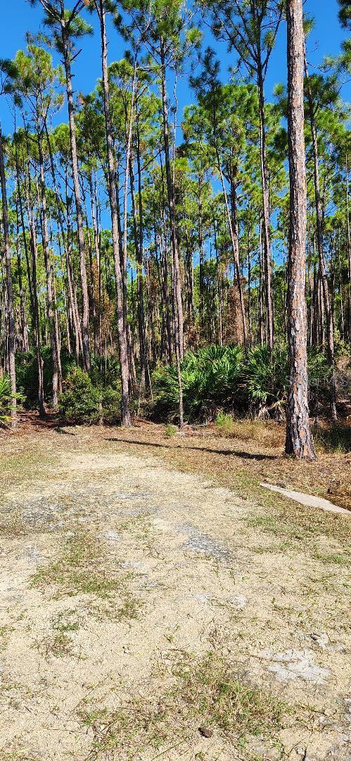 Lot 9 SW 104 ST, CEDAR KEY, FL, 32625