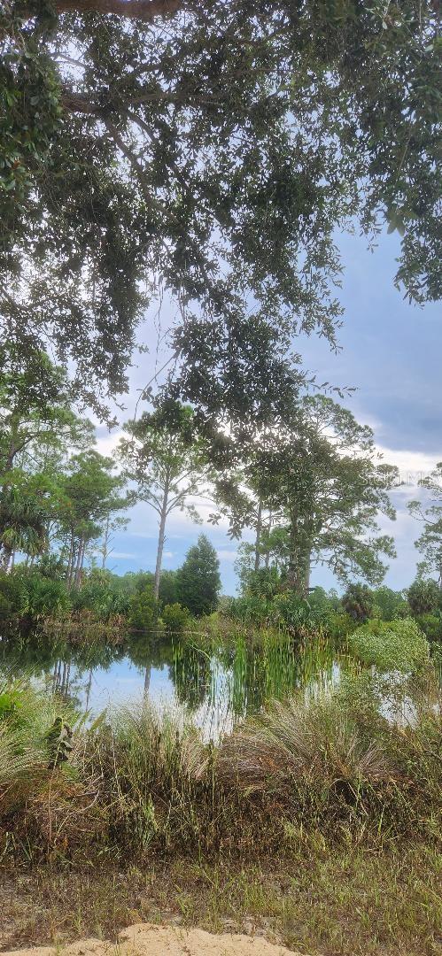 Lot 9 SW 104 ST, CEDAR KEY, FL, 32625