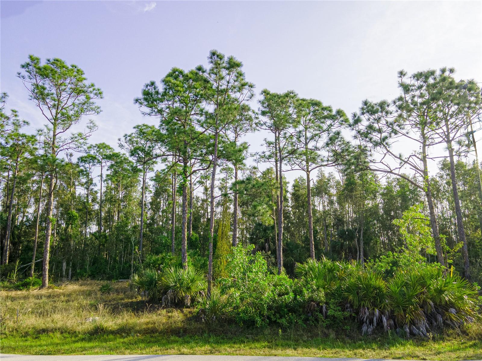 12518 LAGUNA, PUNTA GORDA, FL, 33955