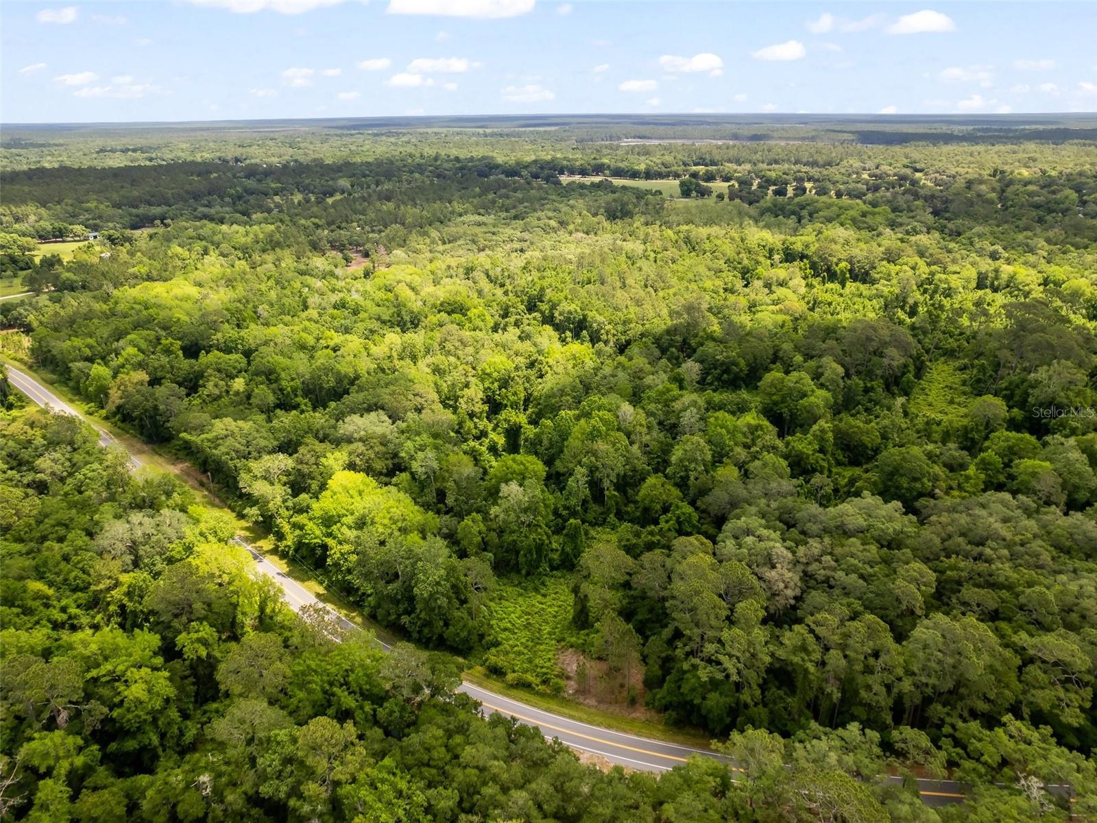 SE 182ND AVENUE RD, OCKLAWAHA, FL, 32179