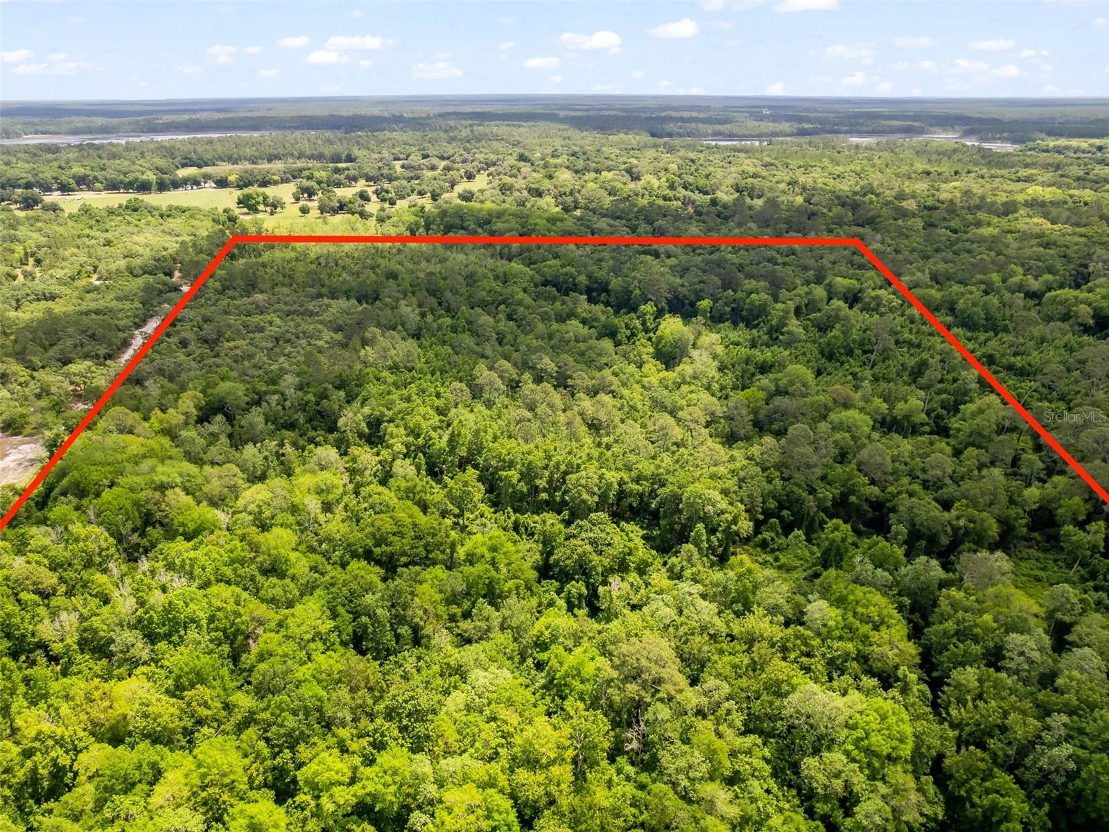 SE 182ND AVENUE RD, OCKLAWAHA, FL, 32179