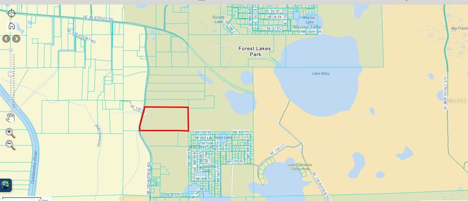 SE 182ND AVENUE RD, OCKLAWAHA, FL, 32179