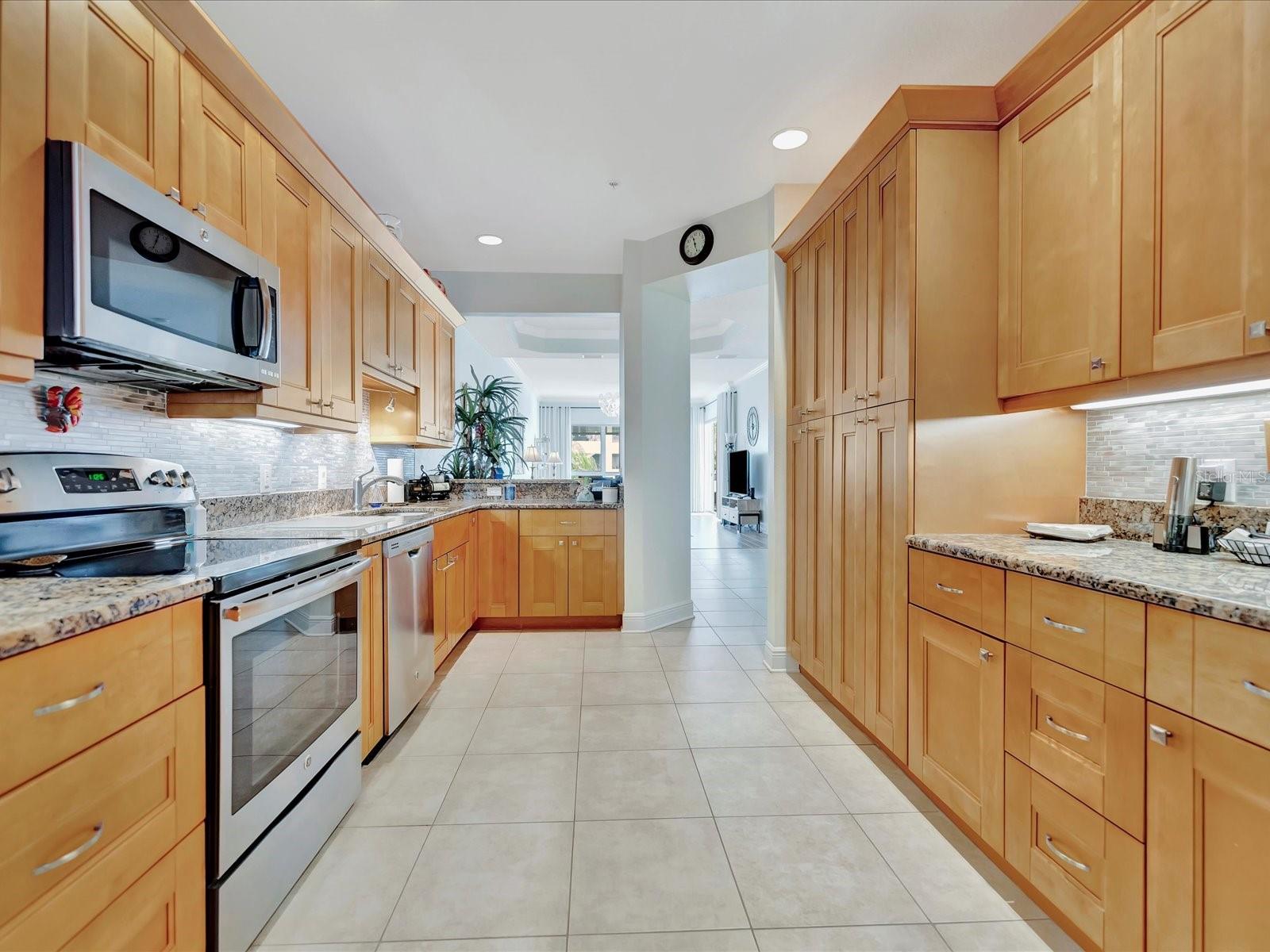 1022 BELLASOL WAY #5302, APOLLO BEACH, FL, 33572