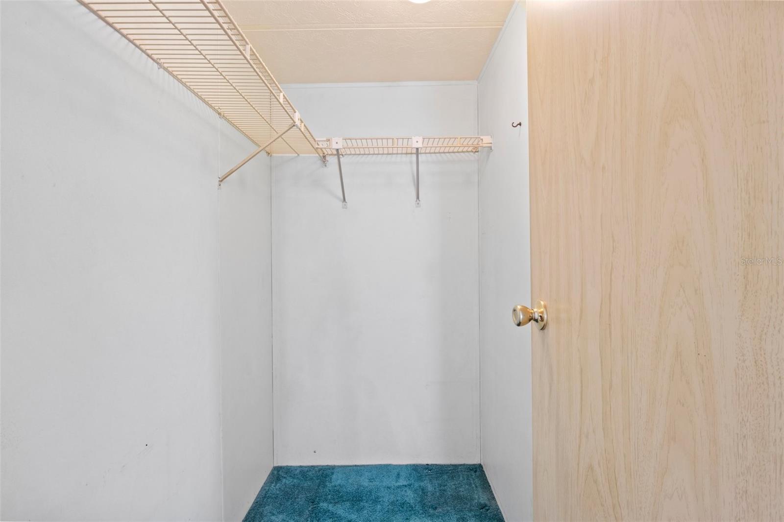 3931 CHRIS DR, WESLEY CHAPEL, FL, 33543